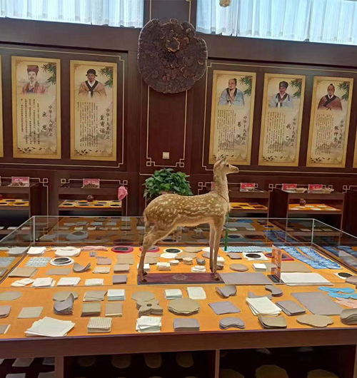 十万级净化车间